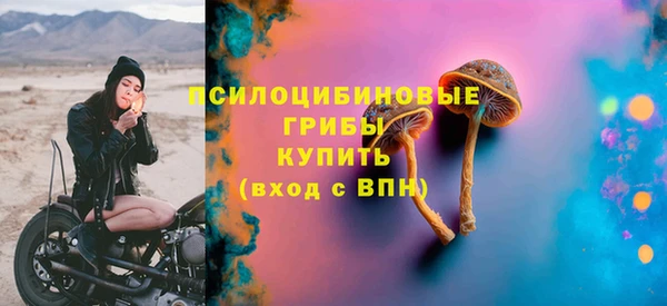 ALPHA PVP Белокуриха