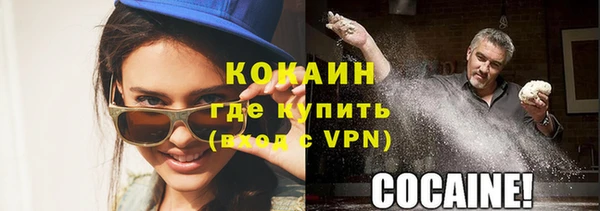 прущие грибы Беломорск