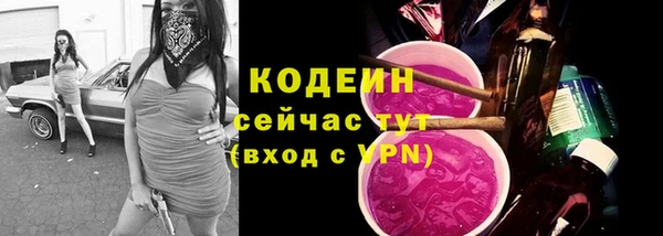 прущие грибы Беломорск