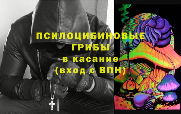 гашик Белоозёрский