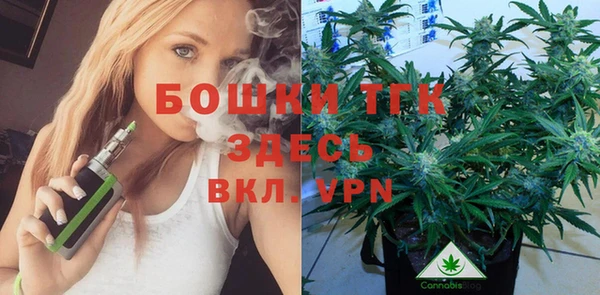 прущие грибы Беломорск