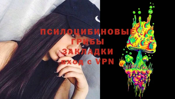 гашик Белоозёрский