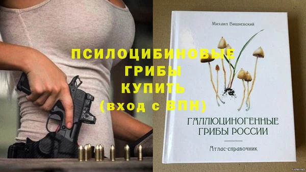 ALPHA PVP Белокуриха
