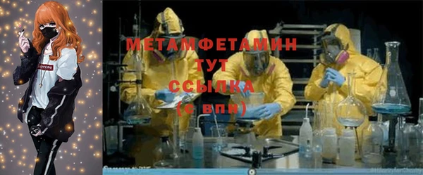 прущие грибы Беломорск