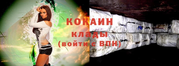 прущие грибы Беломорск