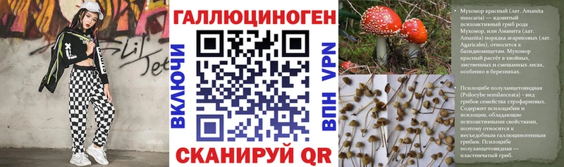 Псилоцибиновые грибы Cubensis Купить где Дивногорск